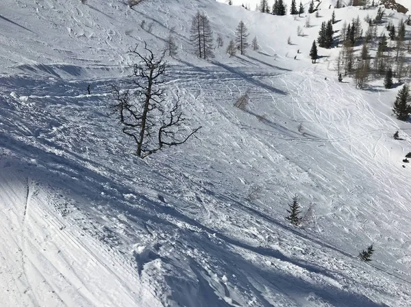 Plan Tranquille Belles Montagnes Enneigées Avec Piste Ski — Photo