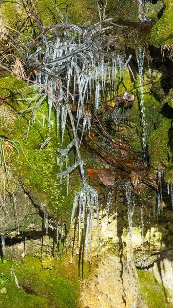 Vue Panoramique Sur Forêt Paysage Automne — Photo