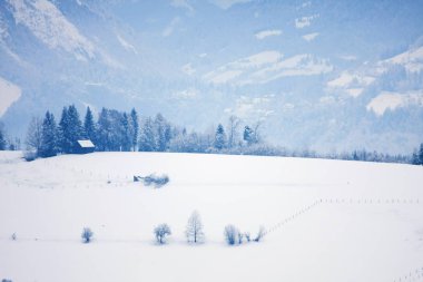 güzel karlı dağların sakin atış