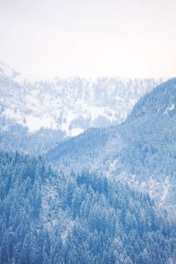 güzel karlı dağların sakin atış