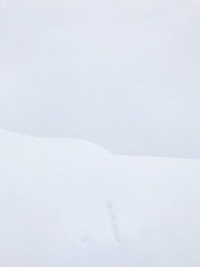 güzel karlı dağların sakin atış