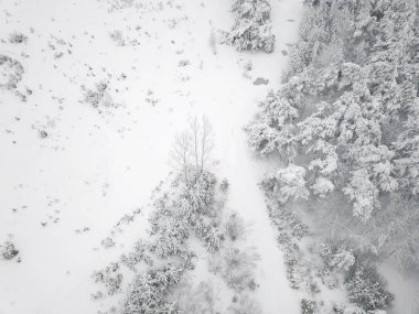 doğal görünüm fo kış manzara arka plan