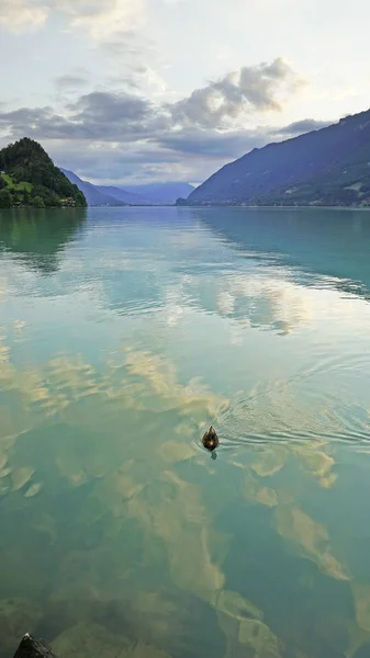 Tranquilo Tiro Hermoso Lago Montaña — Foto de Stock