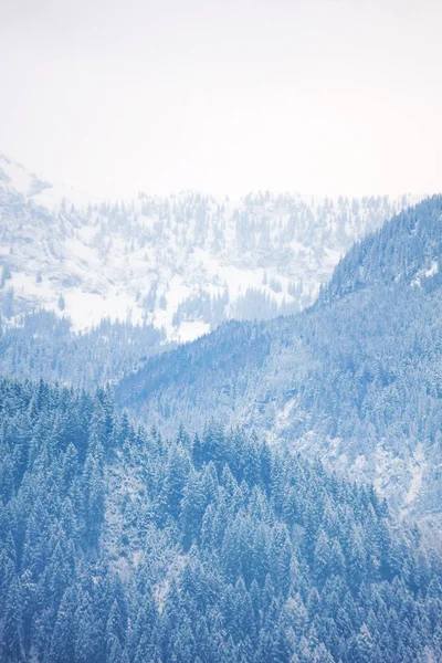 Rustige Shot Van Prachtige Besneeuwde Bergen — Stockfoto