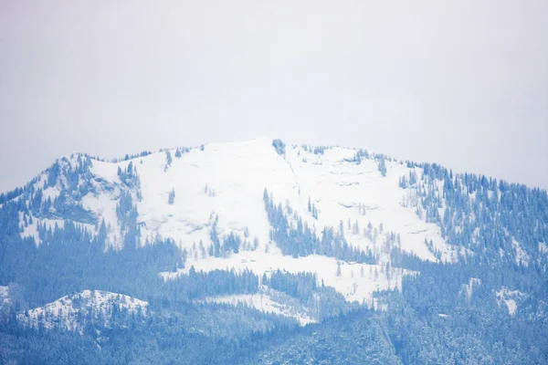 Plan Tranquille Belles Montagnes Enneigées — Photo