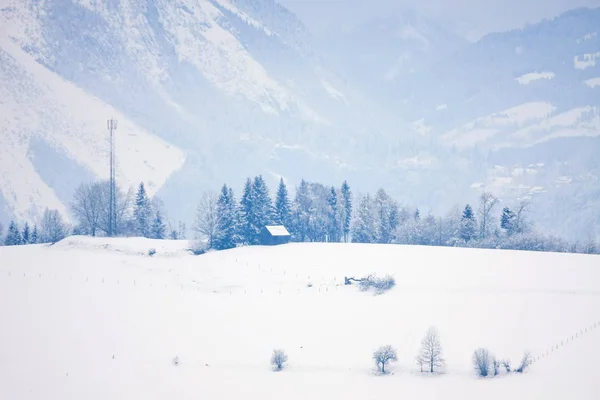 Rustige Shot Van Prachtige Besneeuwde Bergen — Stockfoto