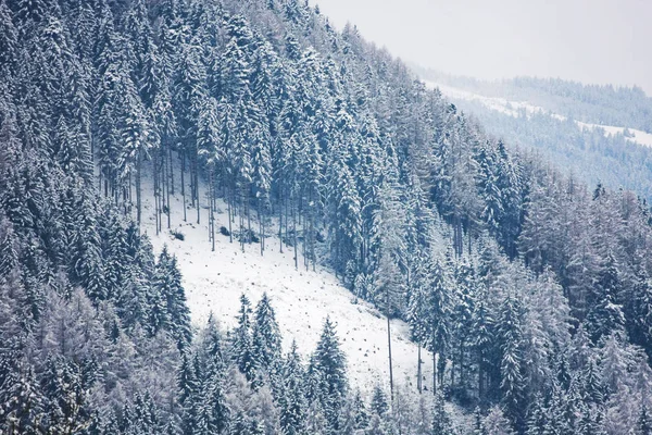 Rustige Shot Van Prachtige Besneeuwde Bergen — Stockfoto