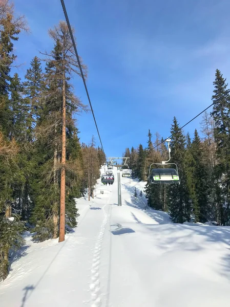 从滑雪电梯看高山森林 从风景看风景 — 图库照片