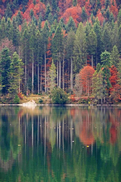 Tranquil Shot Beautiful Mountain Lake Autumnal Trees Reflecting Water — Stock Photo, Image