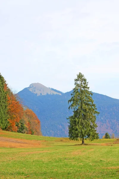 Landschaftliche Aufnahme Schöner Berge Mit Grüner Wiesenlandschaft Hintergrund — Stockfoto