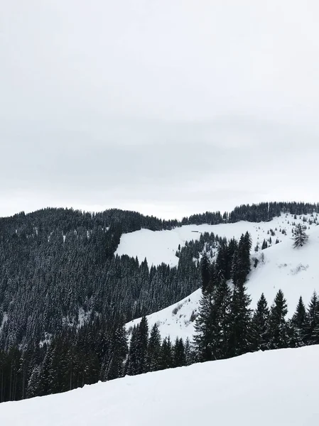 Scenic Shot Van Prachtige Besneeuwde Berglandschap Voor Achtergrond — Stockfoto