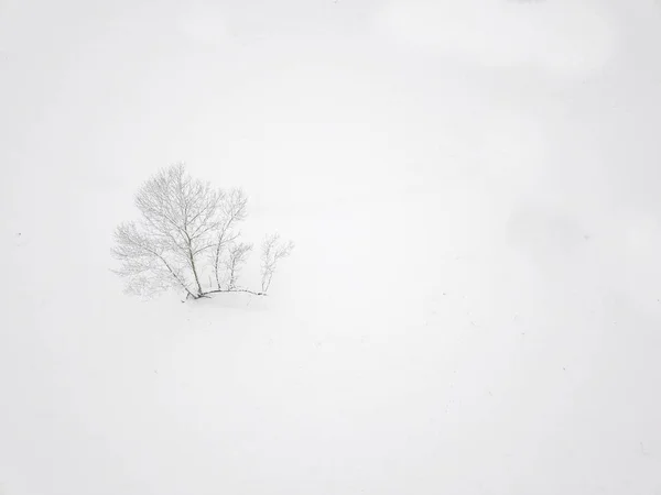 Vista Panorámica Del Paisaje Invierno Fondo — Foto de Stock