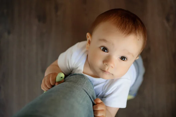 Portrait of a baby boy, embracing mother's leg and asking to talk or to embrace him — Stock Photo, Image