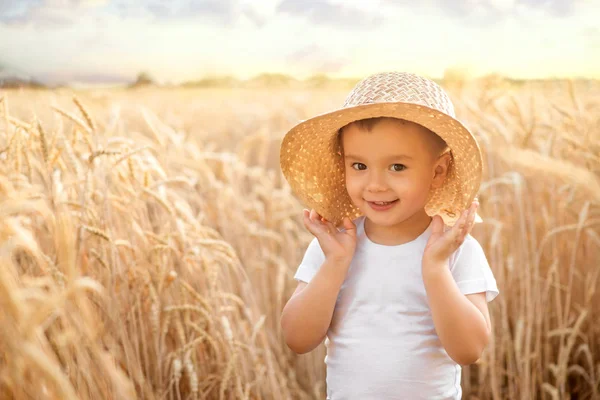 夏の昼や夕方に金色の小麦畑に立つ畑を持つわら帽子をかぶった小さな幼児の少年は、背景にスパイク。幸せな小さな農学者と農業学者、カントリーサマーコンセプト — ストック写真