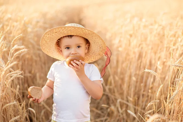 夏の黄金のスパイクの中で小麦畑に立ちながらパンを食べるわら帽子の小さな幼児の肖像画。生協生活、落ち着き、夏のリラクゼーションコンセプト — ストック写真