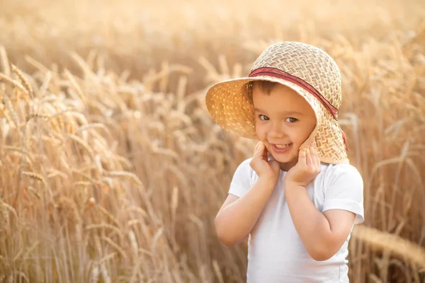 金色のスパイクの中で小麦やライ麦畑に立つ麦わら帽子をかぶった幸せな幼児の少年の肖像画。屋外の田舎で帽子をかぶって遊ぶ子供。幸福、夏のリラックスとカントリーバケーションの概念。スペースのコピー — ストック写真
