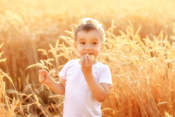 小麦畑でパンを食べ、太陽の光の中で黄金のスパイクの間に立ってスパイクを保持している小さな田舎の少年。幸せな素朴な生活、平和、環境ケア、農業の概念 — ストック写真