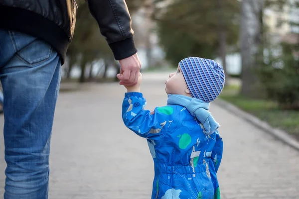 Little toddler on a walk with father, holding dad\'s hand a havin