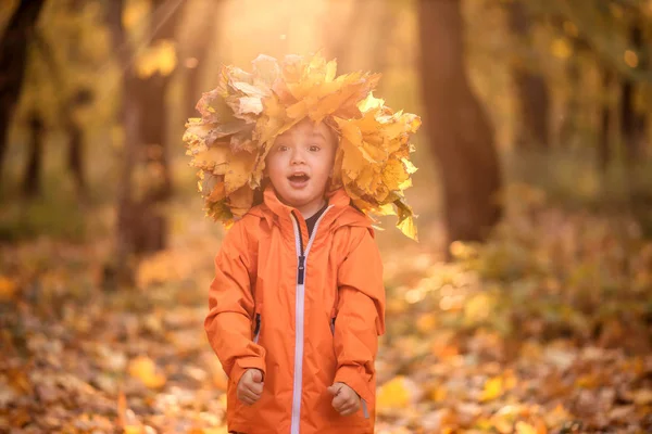 Surprised Little Child Crown Autumn Leaves Funny Face Open Mouth — ストック写真