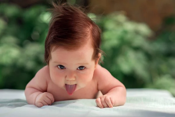 面白い顔と舌がたむろして腹の上に寝そべっている幼児の肖像画 赤ん坊の女の子が這うことを学ぶ 緑の葉を背景に スペースのコピー — ストック写真