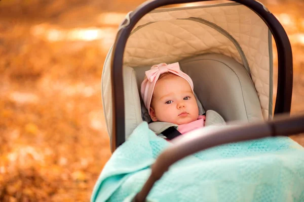秋の公園の屋外のベビーカーに毛布とボンネットの下に横たわっているピンクの帽子の幼児の赤ちゃんの女の子 背景に黄色の葉が落ちます 社会的距離の間に子供と一緒に歩く スペースのコピー ストック画像