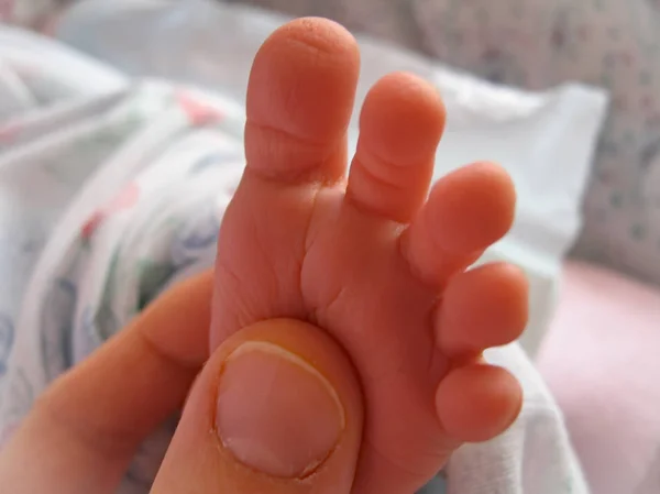 Baby Peuter Kleine Roze Met Hand Van Een Volwassene — Stockfoto