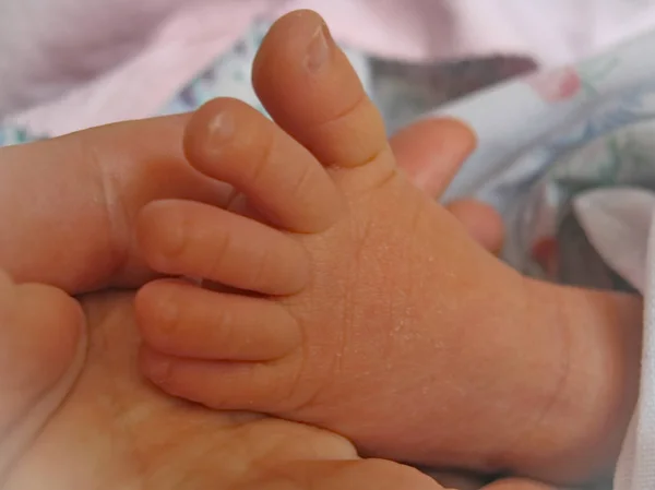 Baby Peuter Kleine Roze Met Hand Van Een Volwassene — Stockfoto