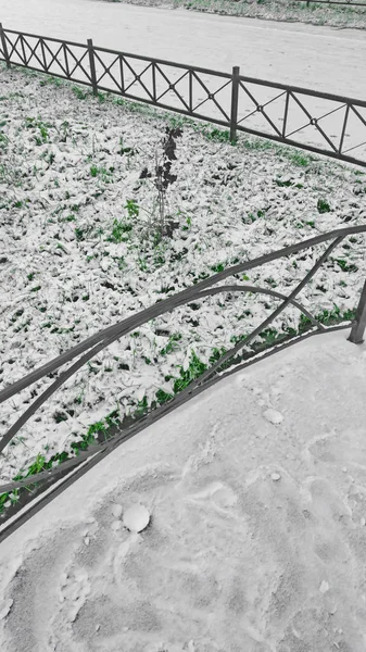 Yeşil Çim Kış Kar Ilk Beyaz — Stok fotoğraf