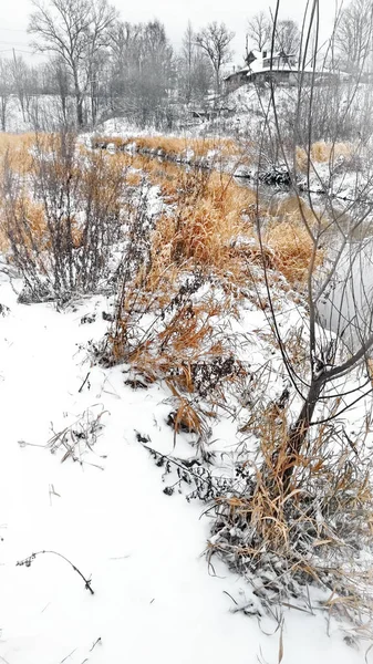 Riacho Não Está Congelado Inverno — Fotografia de Stock