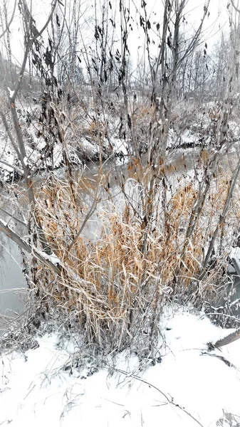 Riacho Não Está Congelado Inverno — Fotografia de Stock