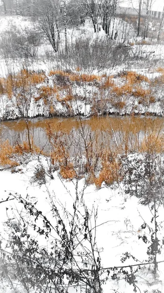 Riacho Não Está Congelado Inverno — Fotografia de Stock