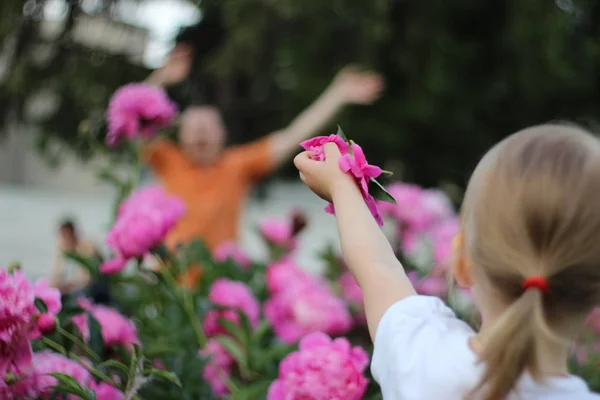 Κορίτσι καλοκαίρι λουλούδια — Φωτογραφία Αρχείου