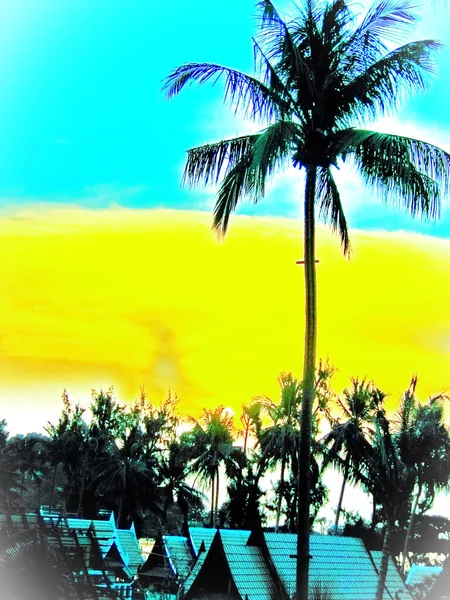 Palm Tropics Abstraction Paysage Contre Ciel — Photo