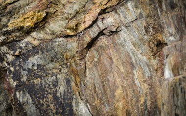 Dağın güzel desen