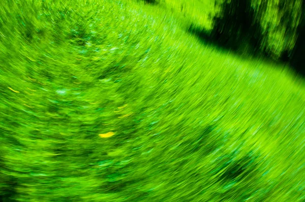 Drehung Des Grünen Grases Und Der Pflanzen Abstrakt Von Der — Stockfoto
