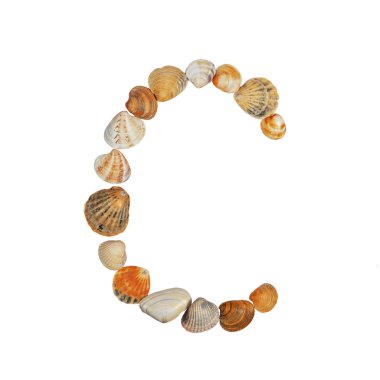 Deniz kabuklarından yapılmış İngiliz alfabesi harfleri