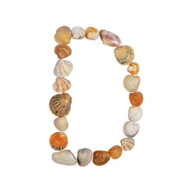 Deniz kabuklarından yapılmış İngiliz alfabesi harfleri