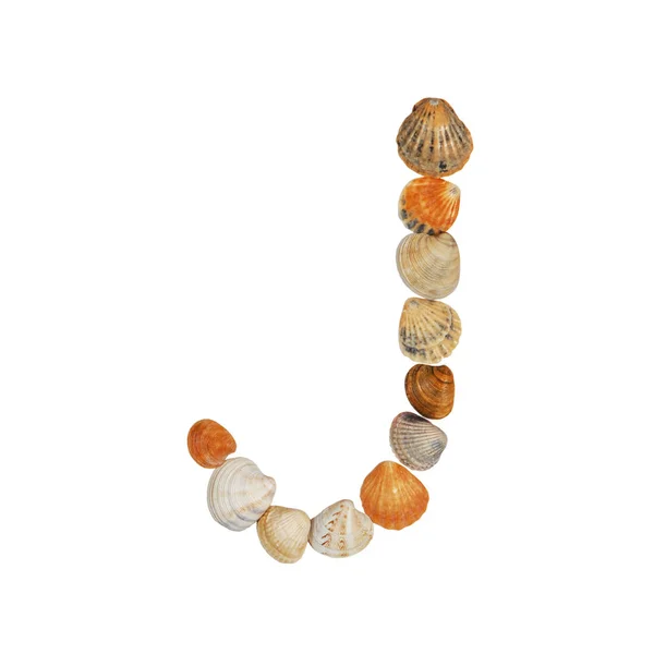 Deniz Kabuklarından Yapılmış Ngiliz Alfabesi Harfleri — Stok fotoğraf