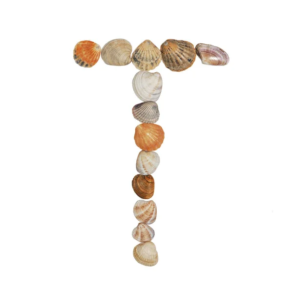 貝殻で作られた英語のアルファベットの文字 — ストック写真