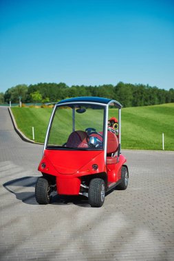 Kırmızı 2 kişilik golf sahası için kaldırım yolda golf elektrikli sepeti