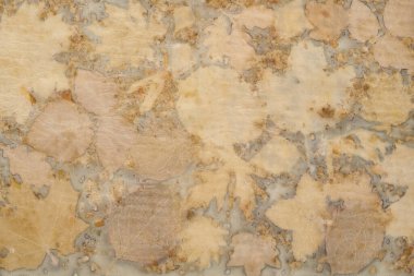 Eko-baskı tekniği kullanılarak elle boyanmış kumaş parçası.