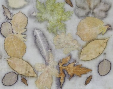 Eko-baskı tekniği kullanılarak elle boyanmış kumaş parçası.