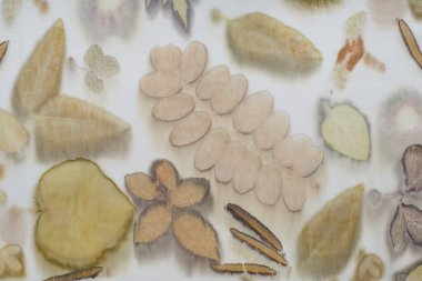 Eko-baskı tekniği kullanılarak elle boyanmış kumaş parçası.