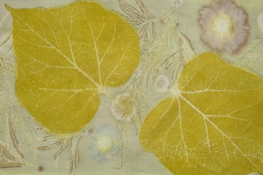 Eko-baskı tekniği kullanılarak elle boyanmış kumaş parçası.