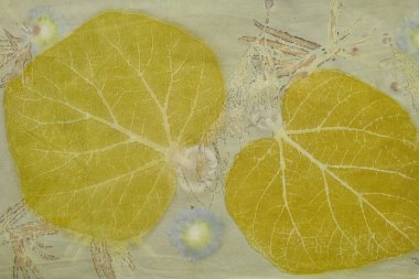 Eko-baskı tekniği kullanılarak elle boyanmış kumaş parçası.