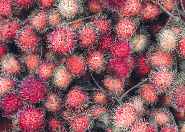 Rambutan fruits — Stock Photo, Image