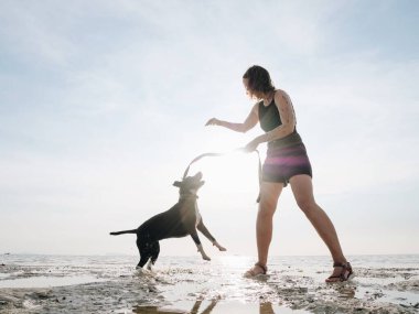 Deniz kıyısında güneş ışığında köpek eğiten komik kız..