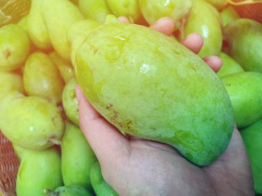 Tayland yerel pazarda Taze yeşil mango 