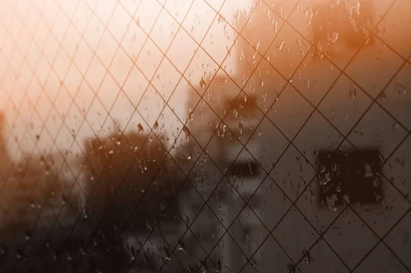 Regn i tokyo — Stockfoto