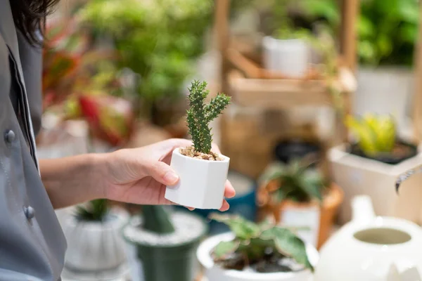 Woman holding cactus in white plant pot